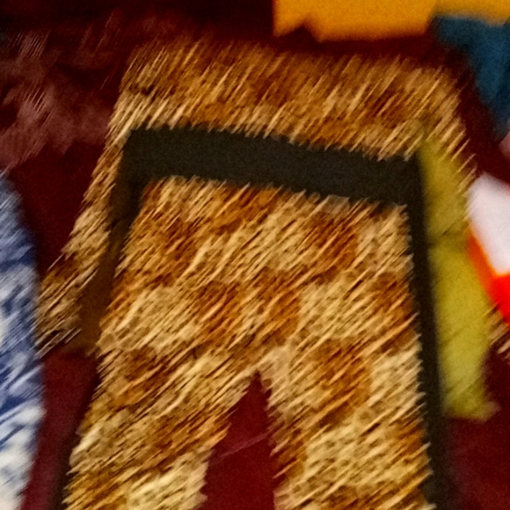 Leopard 2pc outfit